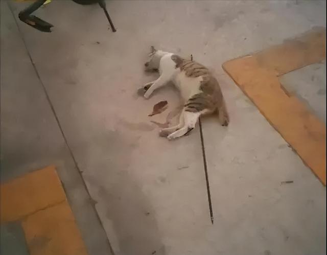 港澳新闻 第58页